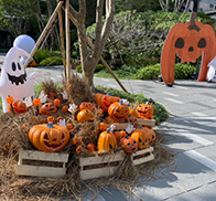 順天建設萬聖節佈置