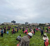 苑裡賞花季・冬季食農趣 