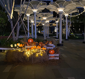 順天建設萬聖節佈置