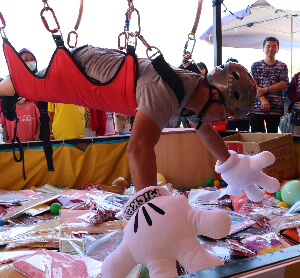 第八屆虎尾毛巾節