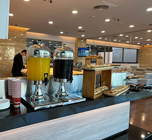 冠慶汽車新車發表會