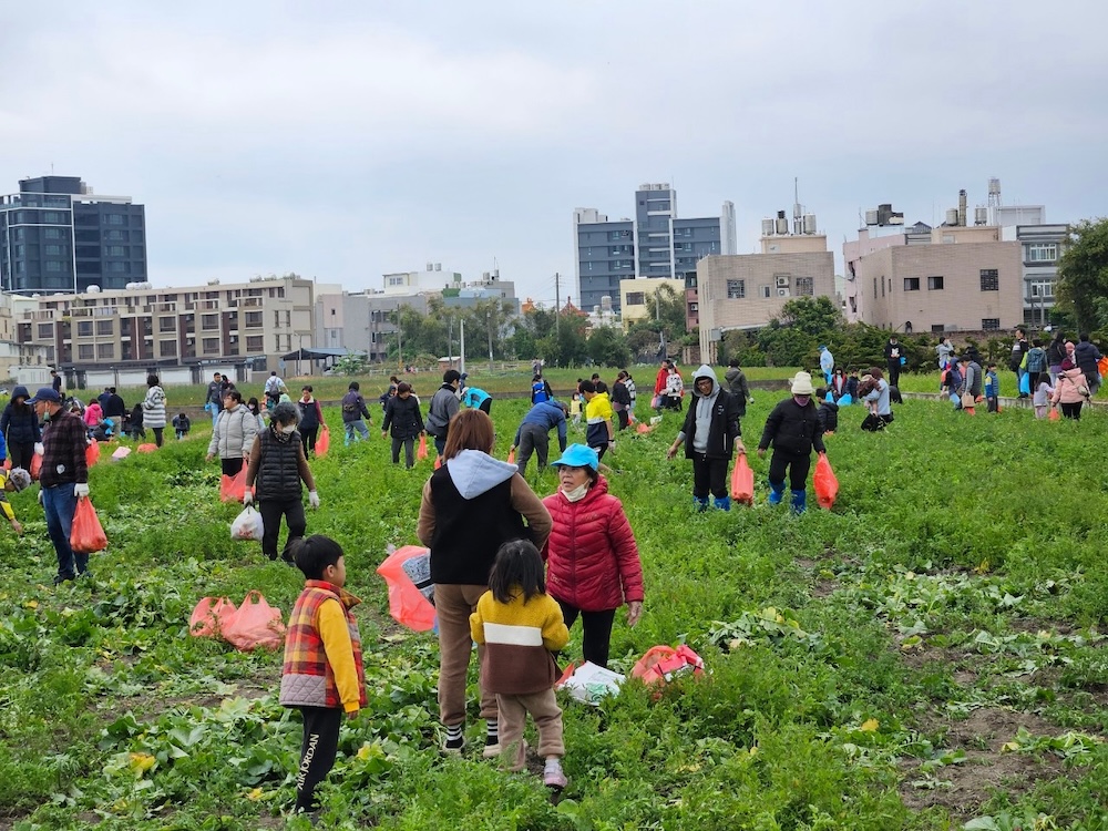 苑裡賞花季・冬季食農趣 