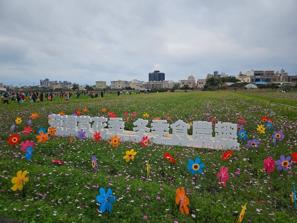 苑裡賞花季・冬季食農趣 