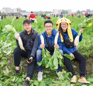 幸福苗栗─苑裡鎮好彩頭拔蘿蔔暨賞花活動