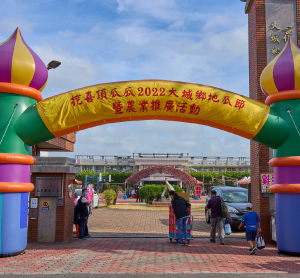 大城鄉地瓜節活動