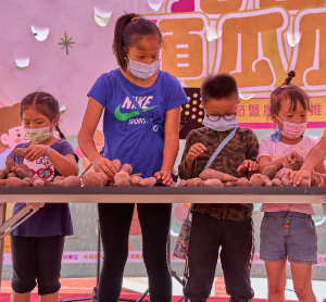 大城鄉地瓜節活動